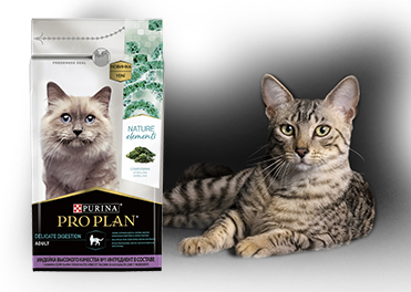 Diet veterinar