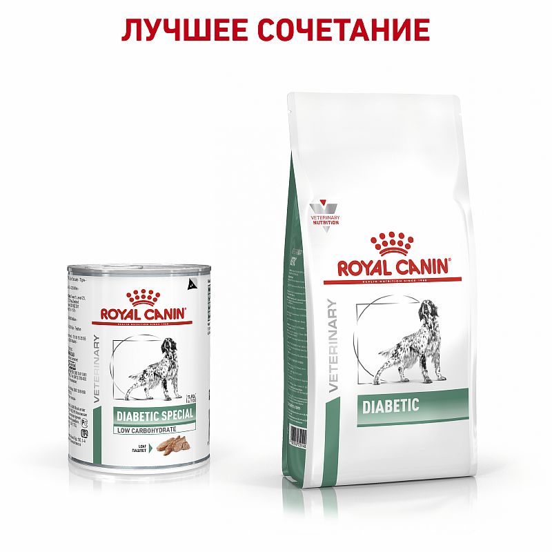 Royal canin diabetic store food