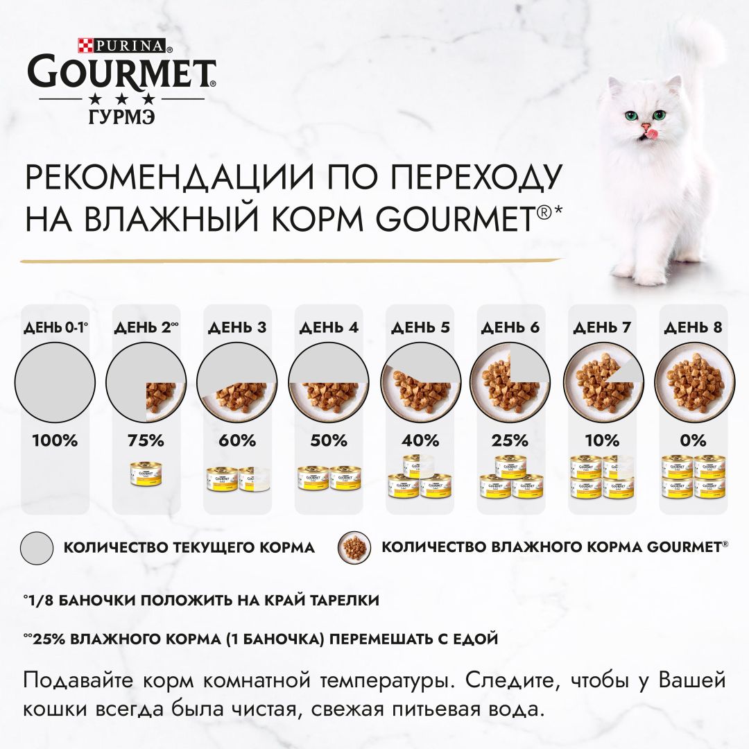 Gourmet 2024 gold kitten