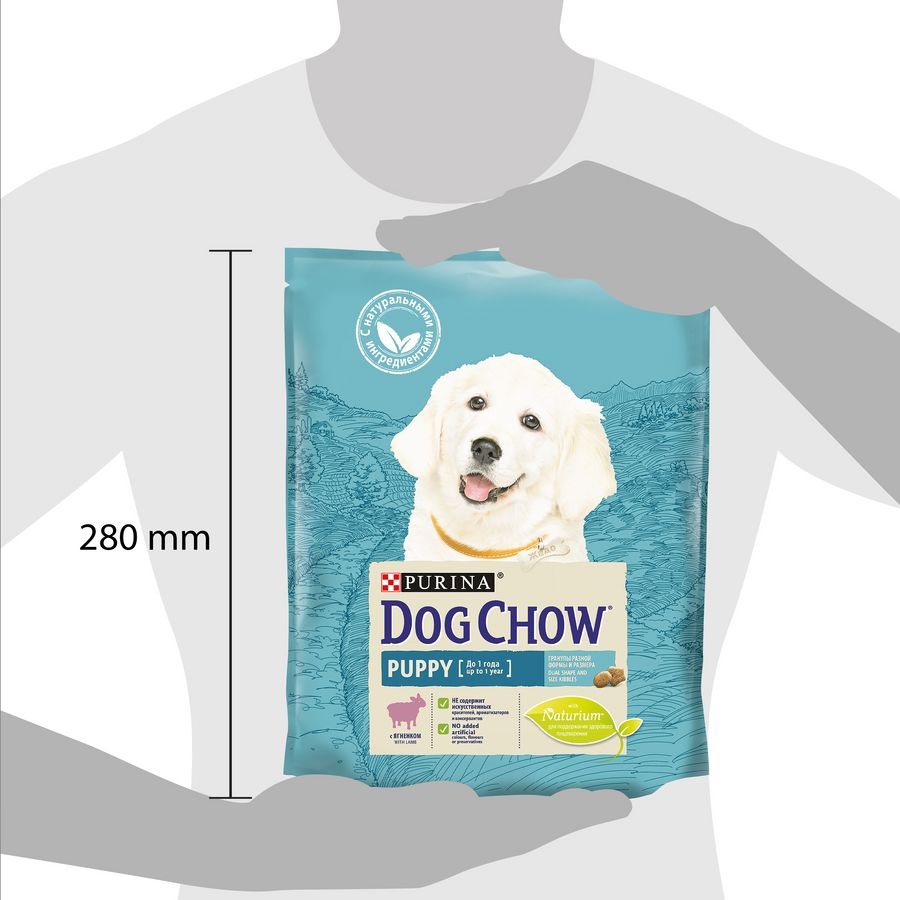 Purina dog store chow puppy lamb