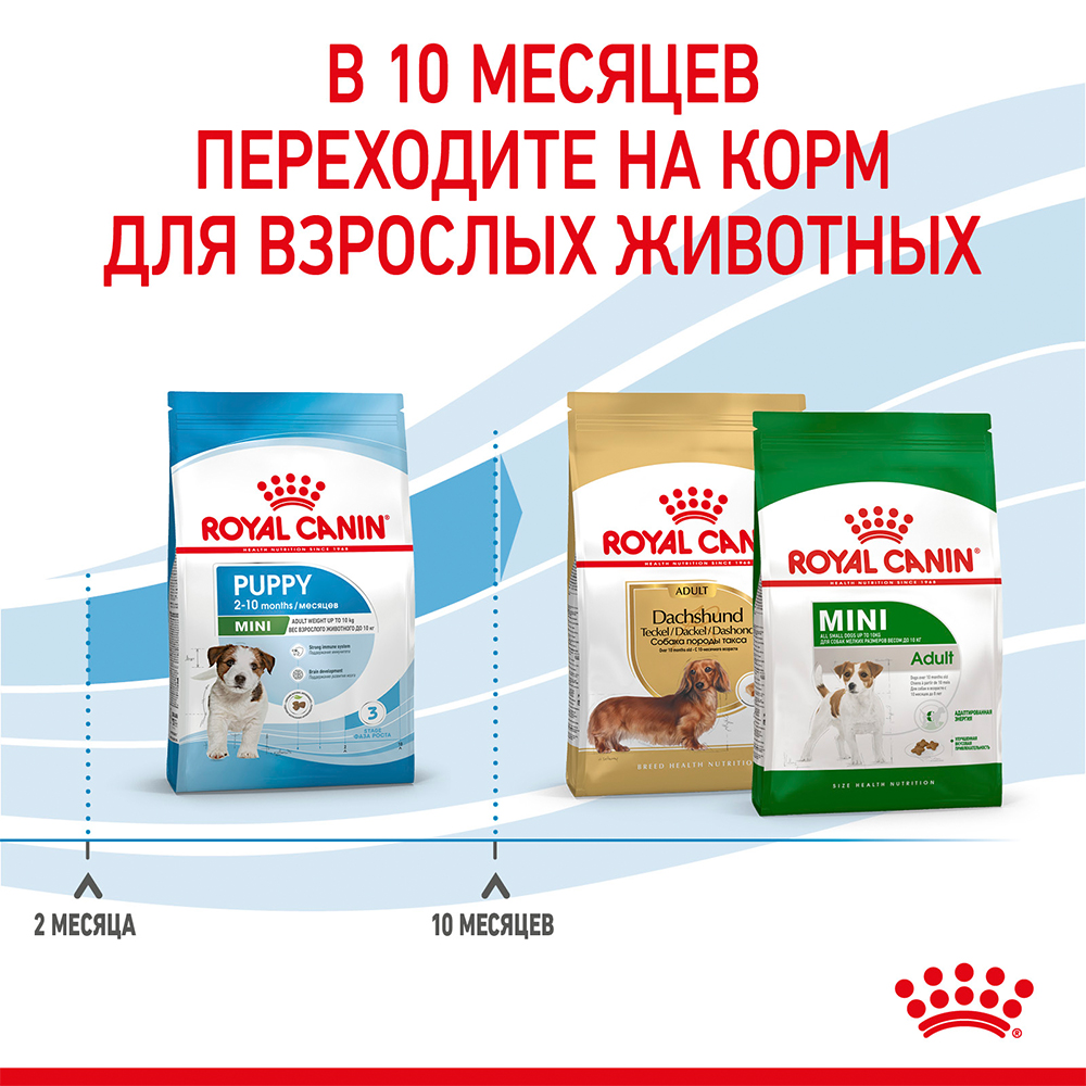 Royal Canin Mini Puppy / Сухой корм Роял Канин Мини Паппи для Щенков Мелких  пород в возрасте от 2 до 10 месяцев 800 г купить в Москве по низкой цене  570₽ | интернет-магазин ZooMag.ru