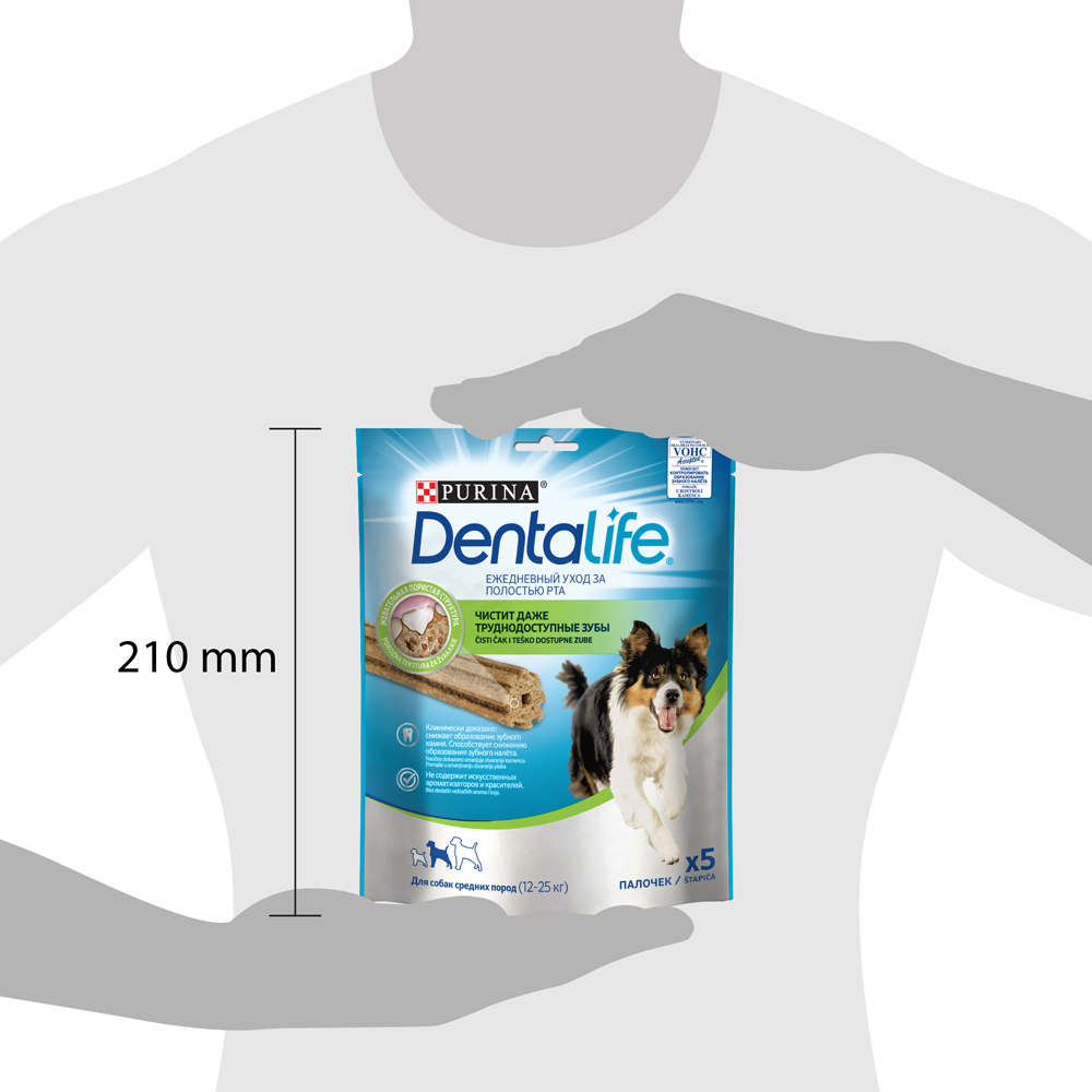 Dentalife cat 2024