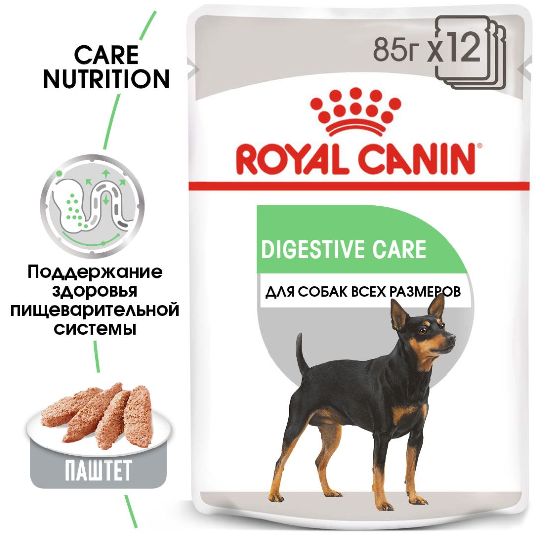 Royal canin sale digestive care dog