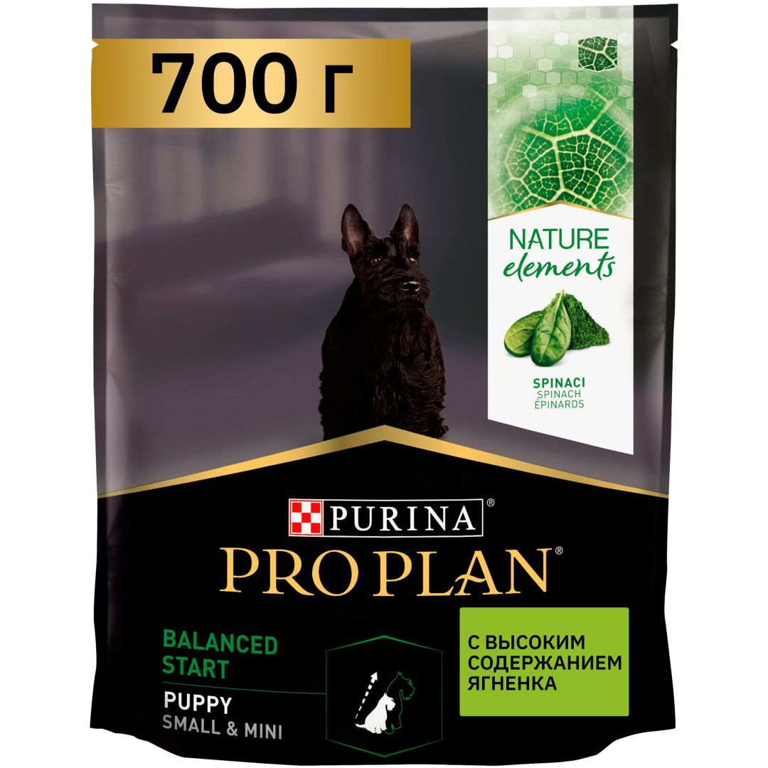 Purina puppy hot sale small