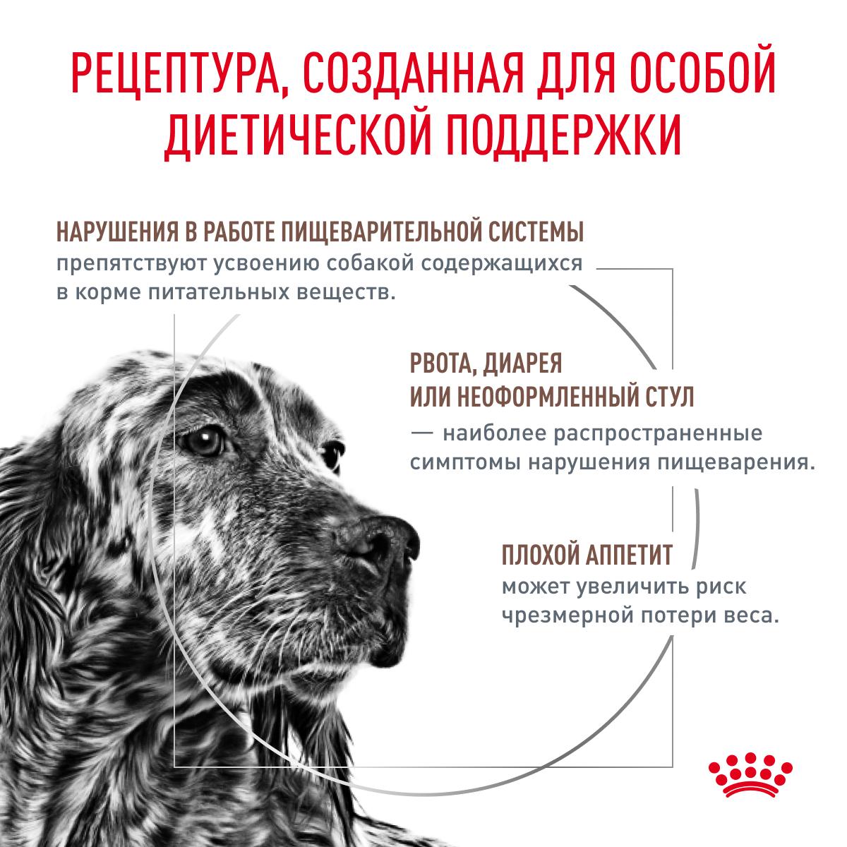 Royal Canin Gastro Intestinal GI25 / Ветеринарный сухой корм Роял Канин  Гастро Интестинал для взрослых собак при нарушении Пищеварения 15 кг купить  в Москве по низкой цене 13 783₽ | интернет-магазин ZooMag.ru