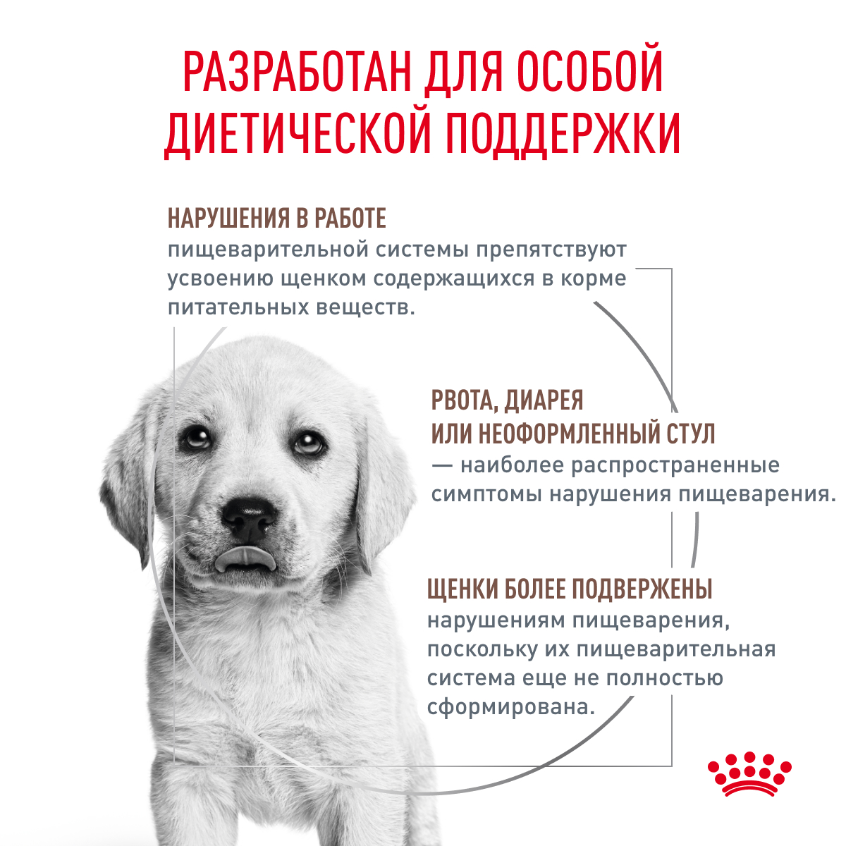 Royal Canin Gastrointestinal Puppy / Ветеринарный сухой корм Роял Канин  Гастроинтестинал для Щенков при нарушении Пищеварения 10 кг купить в Москве  по низкой цене 9 741₽ | интернет-магазин ZooMag.ru