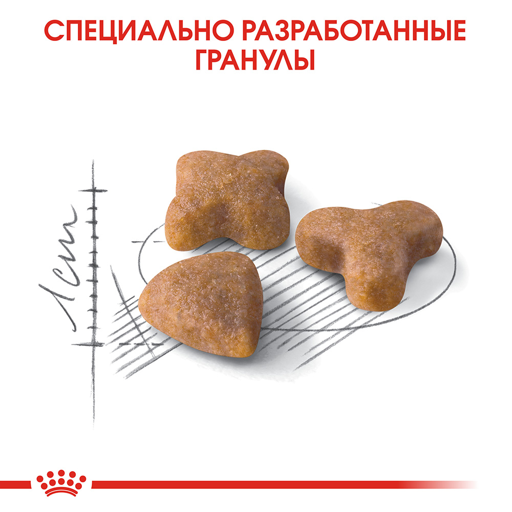 Royal Canin Sensible / Сухой корм Роял Канин Сенсибл для кошек с  Чувствительным пищеварением 15 кг купить в Москве по низкой цене 13 354₽ |  интернет-магазин ZooMag.ru