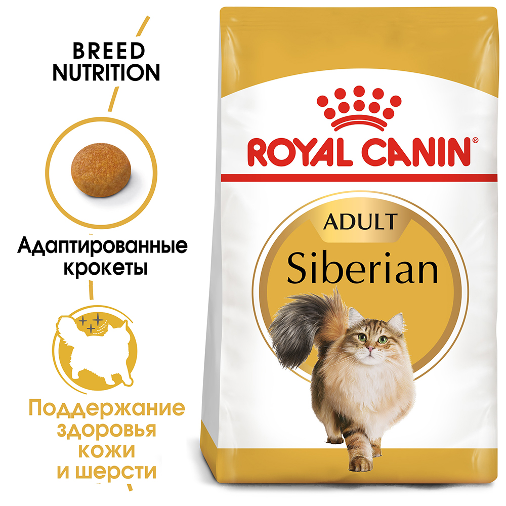 Royal Canin Breed cat Siberian / Сухой корм Роял Канин для взрослых кошек  Сибирской породы старше 1 года 2 кг купить в Москве по низкой цене 2 608₽ |  интернет-магазин ZooMag.ru