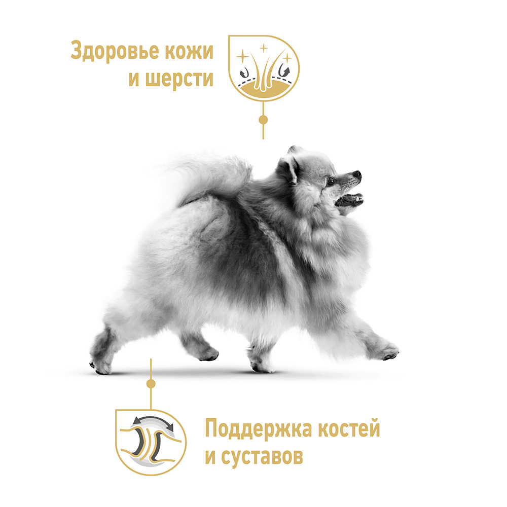 Royal Canin Breed dog Pomeranian Adult / Сухой корм Роял Канин для взрослых  собак породы Померанский Шпиц от 8 месяцев и старше 1,5 кг купить в Москве  по низкой цене 1 338₽ | интернет-магазин ZooMag.ru