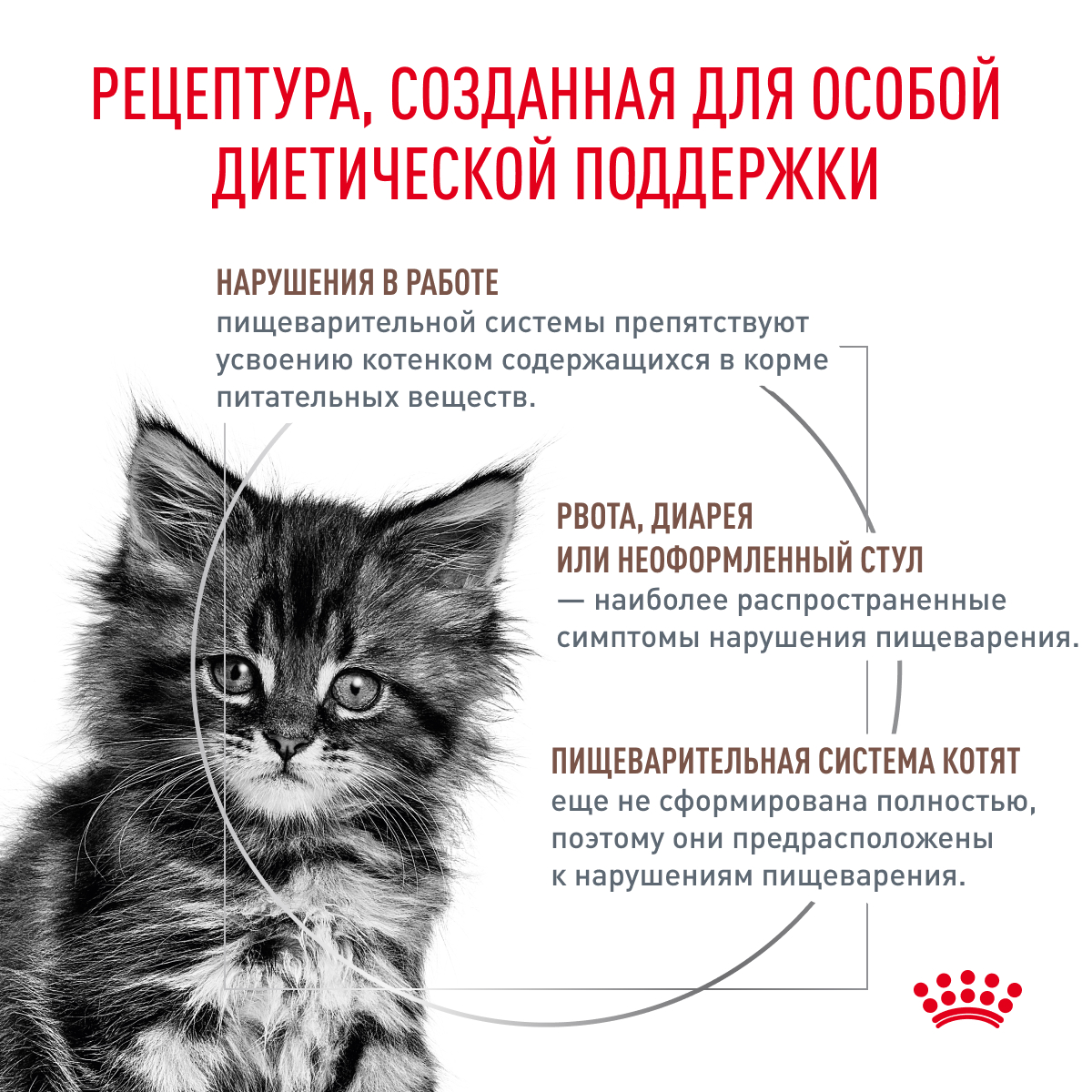 Royal Canin Kitten Gastrointestinal / Ветеринарный сухой корм Роял Канин  Гастроинтестинал для Котят от 2 до 10 месяцев при Нарушениях пищеварения  400 г купить в Москве по низкой цене 712₽ | интернет-магазин ZooMag.ru