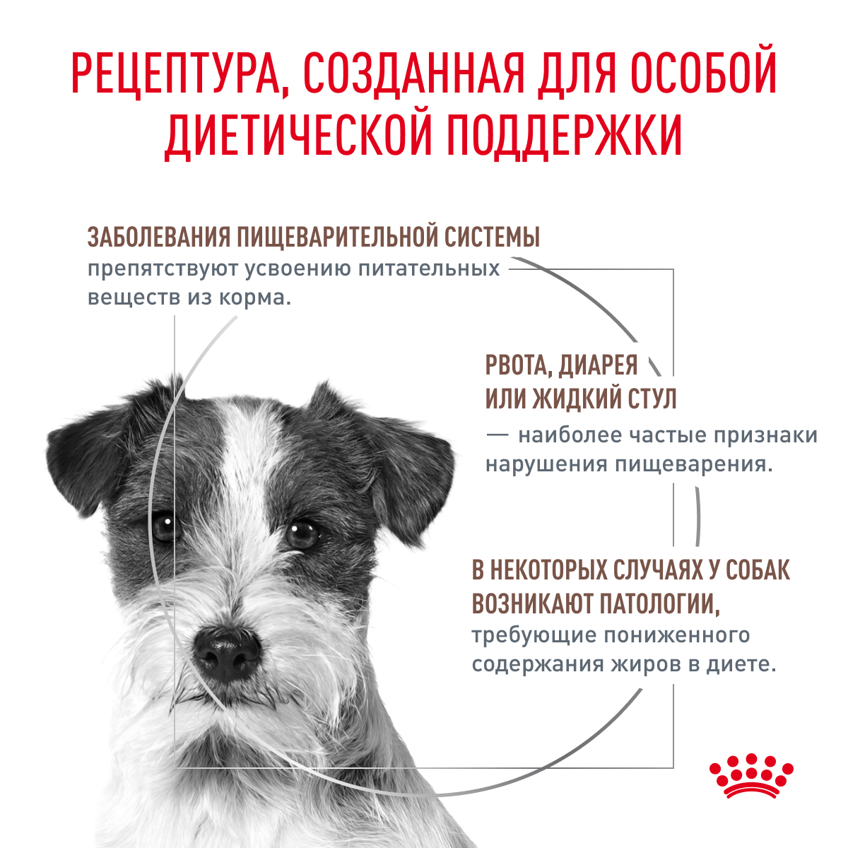 Royal Canin Gastrointerstinal Low Fat Small Dog / Ветеринарный сухой корм  Роял Канин Гастроинтестинал Лоу Фэт Смол Дог для собак Мелких пород при  нарушении Пищеварения Низкокалорийный 3 кг купить в Москве по