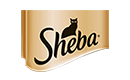 Sheba
