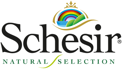 Schesir Schesir