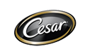 Cesar Cesar