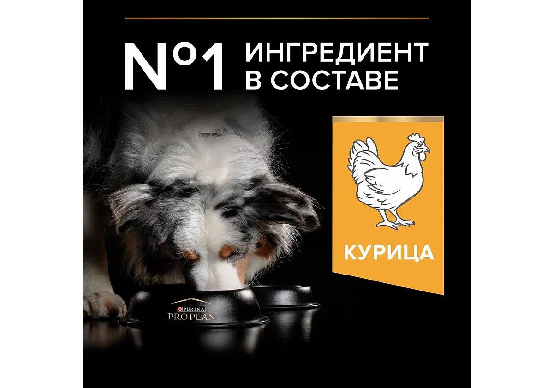 PRO PLAN OPTI BALANCE / Сухой корм ПРО ПЛАН для взрослых собак средних  пород с курицей 3 кг купить в Москве по низкой цене 1 471₽ |  интернет-магазин ZooMag.ru