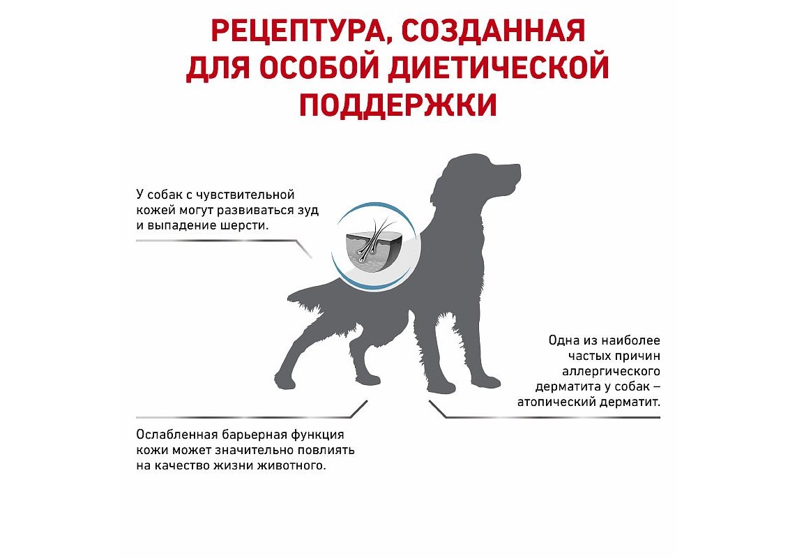 Royal Canin Skin Support / Ветеринарный сухой корм Роял Канин Скин Саппорт  для собак при Атопии и дерматозах 2 кг купить в Москве по низкой цене 2  213₽ | интернет-магазин ZooMag.ru