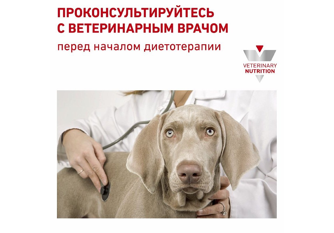 Royal Canin Sensitivity Control Canine / Ветеринарный влажный корм  (Консервы) Роял Канин Сенситивити Контрол для собак с Пищевой аллергией и  непереносимостью (Цена за упаковку) 420г x 12шт купить в Москве по низкой