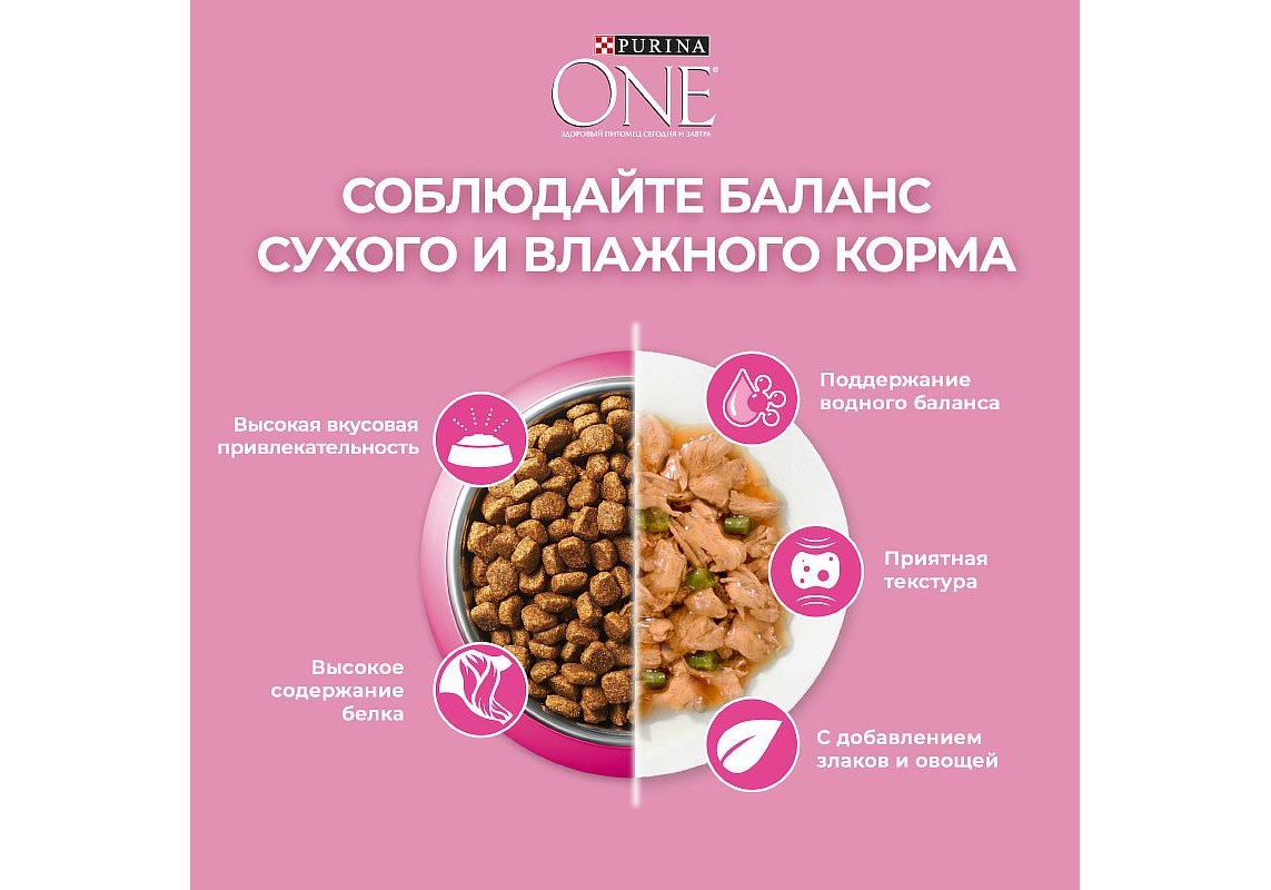 PURINA ONE KITTEN / Сухой корм Пурина УАН для котят с курицей 200 г купить  в Москве по низкой цене 140₽ | интернет-магазин ZooMag.ru