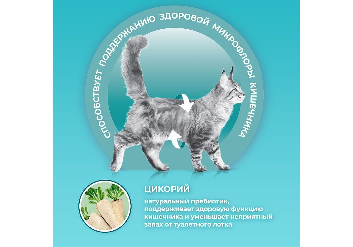 PURINA ONE ADULT / Сухой корм Пурина УАН для взрослых кошек с курицей 750 г  купить в Москве по низкой цене 470₽ | интернет-магазин ZooMag.ru