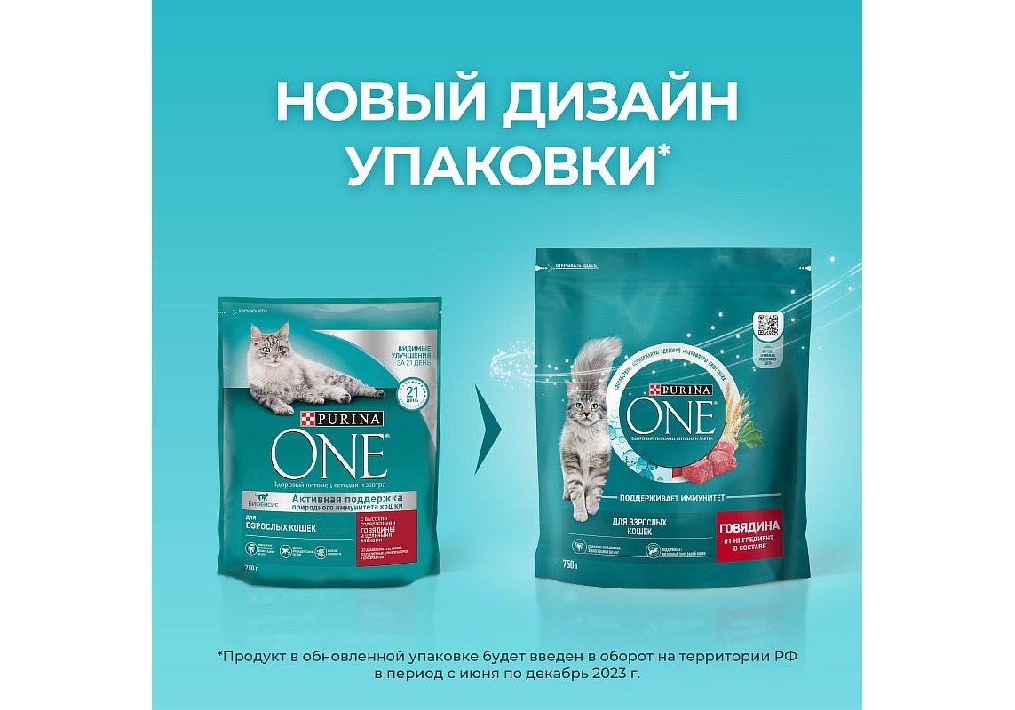 PURINA ONE ADULT / Сухой корм Пурина УАН для взрослых кошек с говядиной 750  г купить в Москве по низкой цене 470₽ | интернет-магазин ZooMag.ru