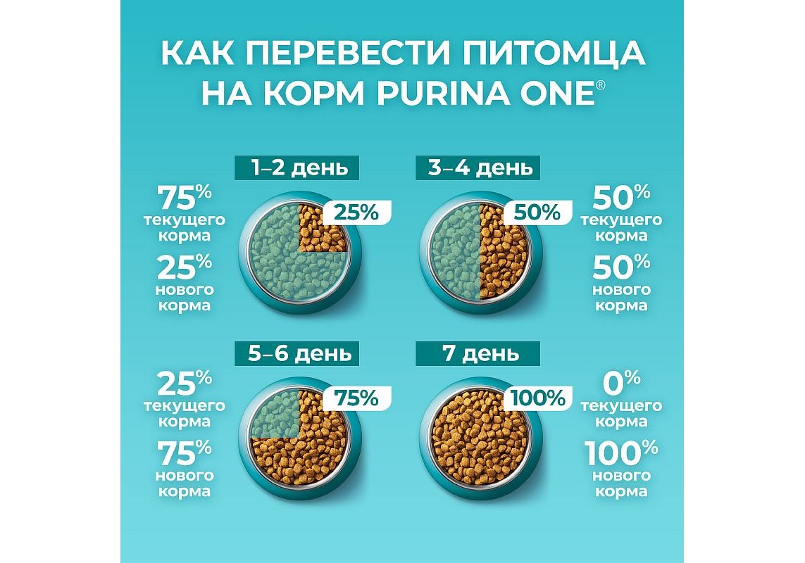 PURINA ONE ADULT / Сухой корм Пурина УАН для взрослых кошек с говядиной 750  г купить в Москве по низкой цене 470₽ | интернет-магазин ZooMag.ru