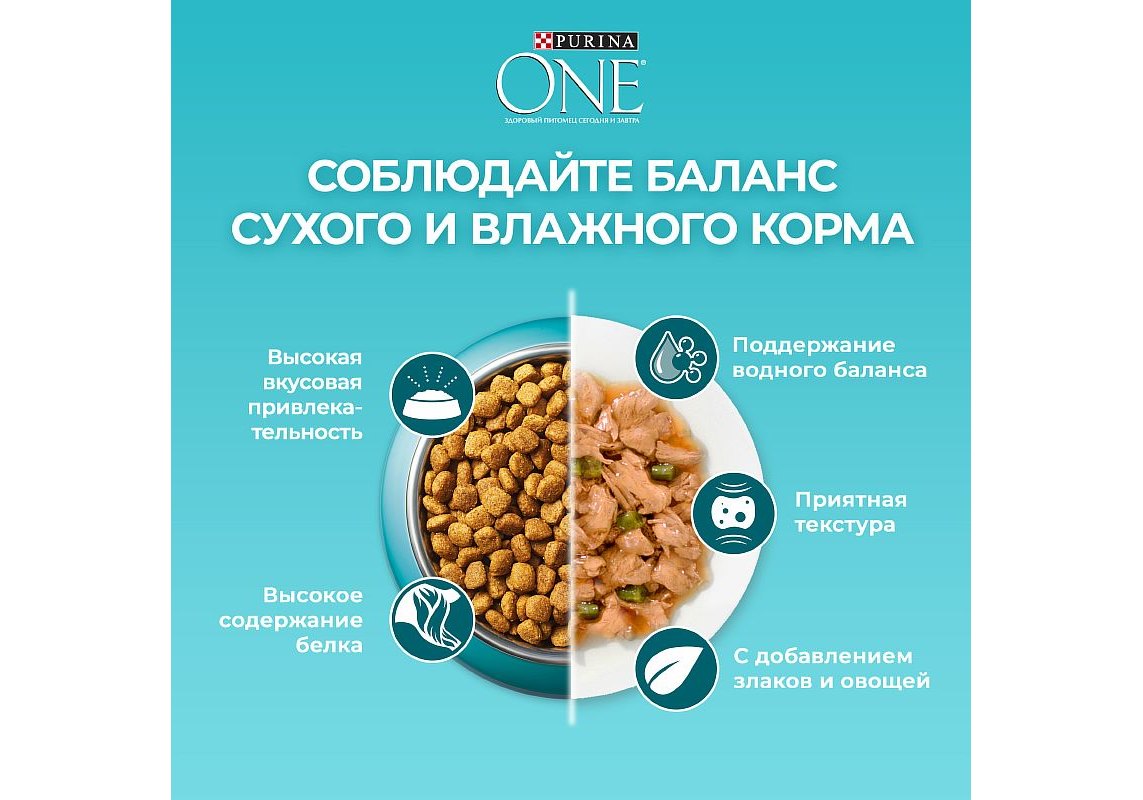 PURINA ONE ADULT / Сухой корм Пурина УАН для взрослых кошек с говядиной 750  г купить в Москве по низкой цене 470₽ | интернет-магазин ZooMag.ru