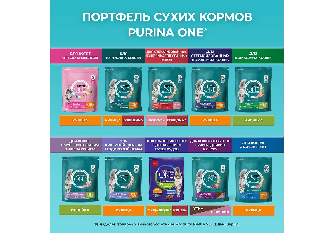 PURINA ONE STERILISED / Сухой корм Пурина УАН для взрослых стерилизованных  кошек с лососем 200 г купить в Москве по низкой цене 140₽ |  интернет-магазин ZooMag.ru