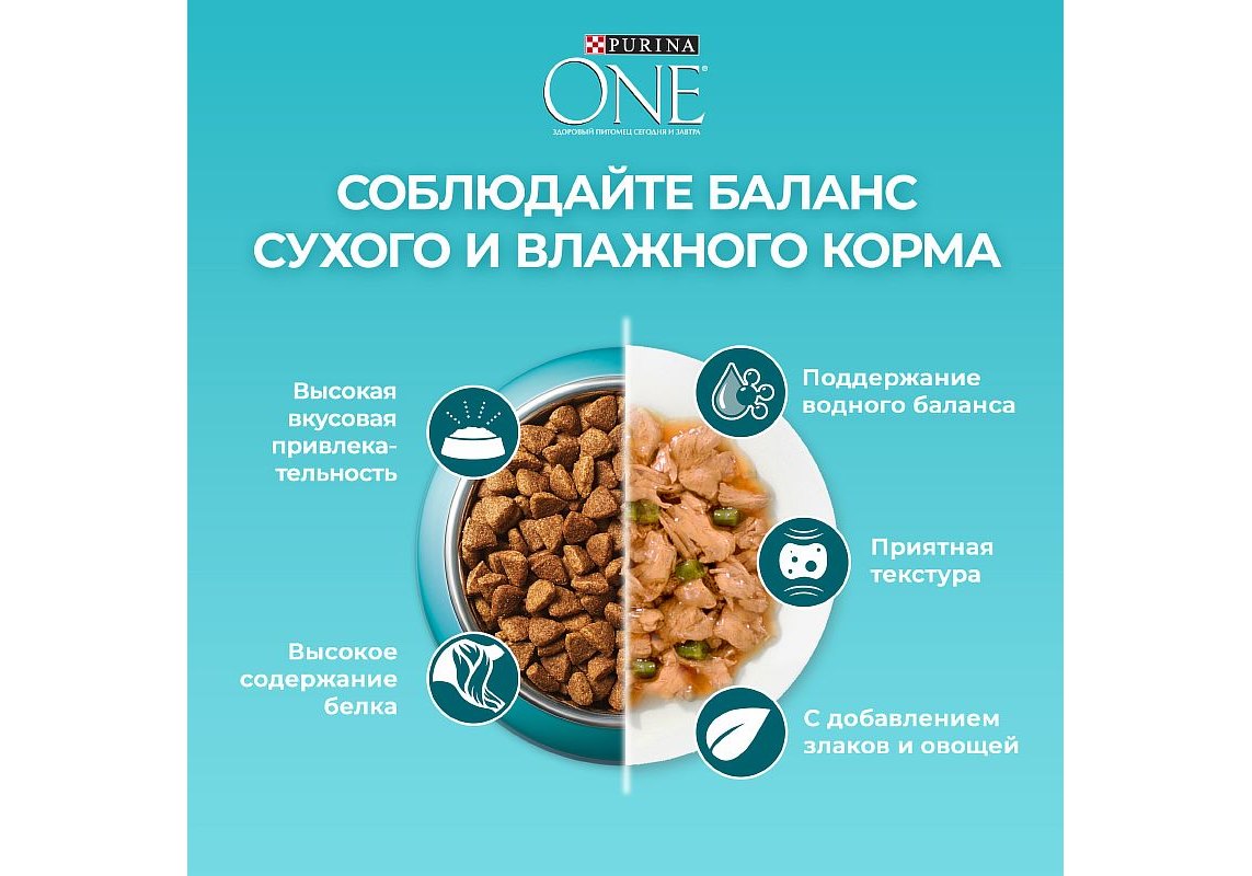 PURINA ONE STERILISED / Сухой корм Пурина УАН для взрослых стерилизованных  кошек с лососем 750 г купить в Москве по низкой цене 400₽ |  интернет-магазин ZooMag.ru