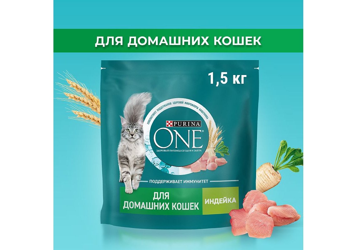 PURINA ONE HOUSECAT / Сухой корм Пурина УАН для взрослых кошек при домашнем  образе жизни с индейкой 1,5 кг купить в Москве по низкой цене 765₽ |  интернет-магазин ZooMag.ru