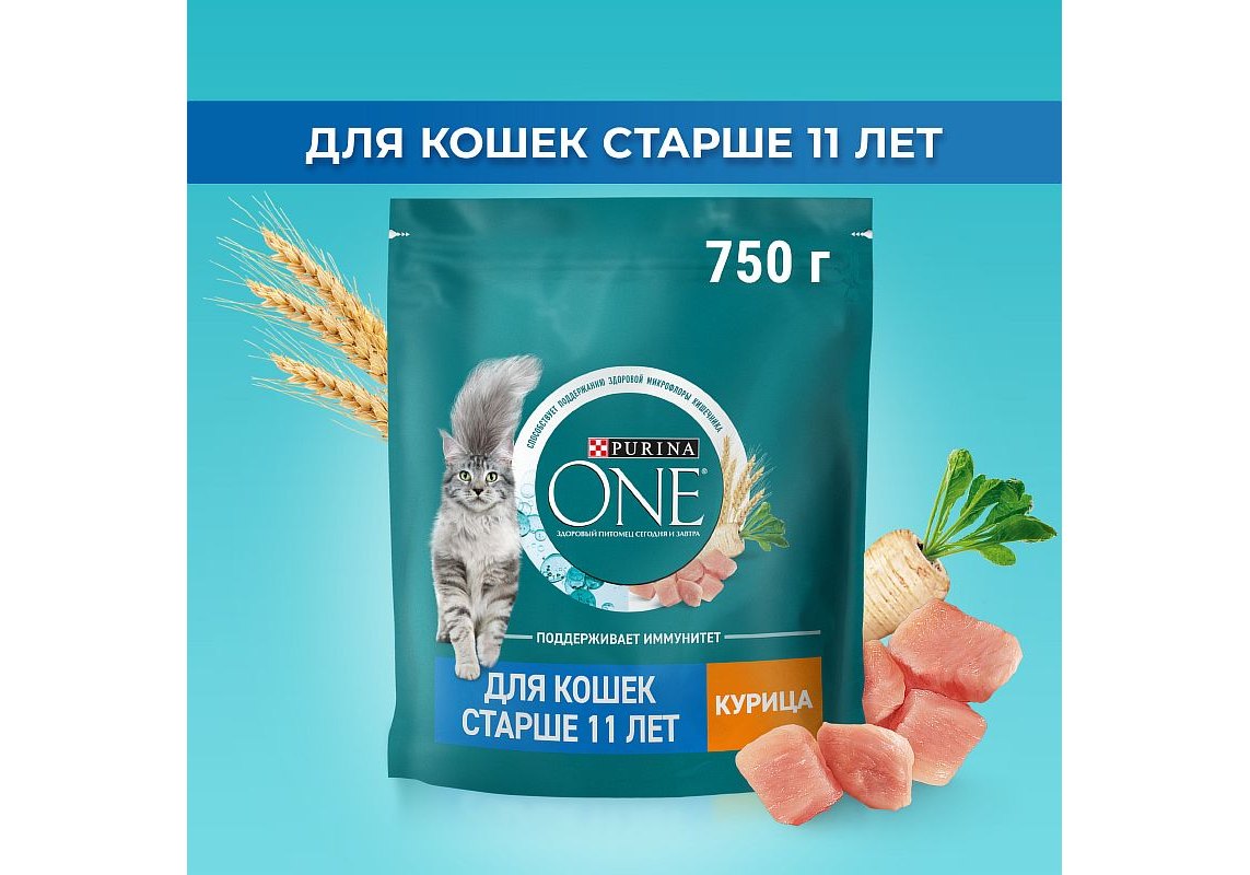 PURINA ONE SENIOR / Сухой корм Пурина УАН для пожилых кошек с курицей 750 г  купить в Москве по низкой цене 470₽ | интернет-магазин ZooMag.ru