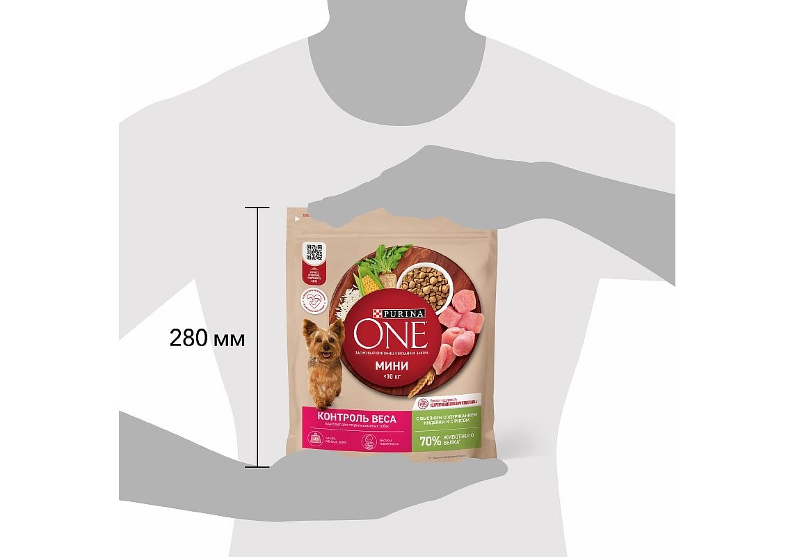 PURINA ONE MINI/ Сухой корм Пурина УАН для взрослых собак мелких пород при  склоннности к набору веса с индейкой 600 г купить в Москве по низкой цене  247₽ | интернет-магазин ZooMag.ru