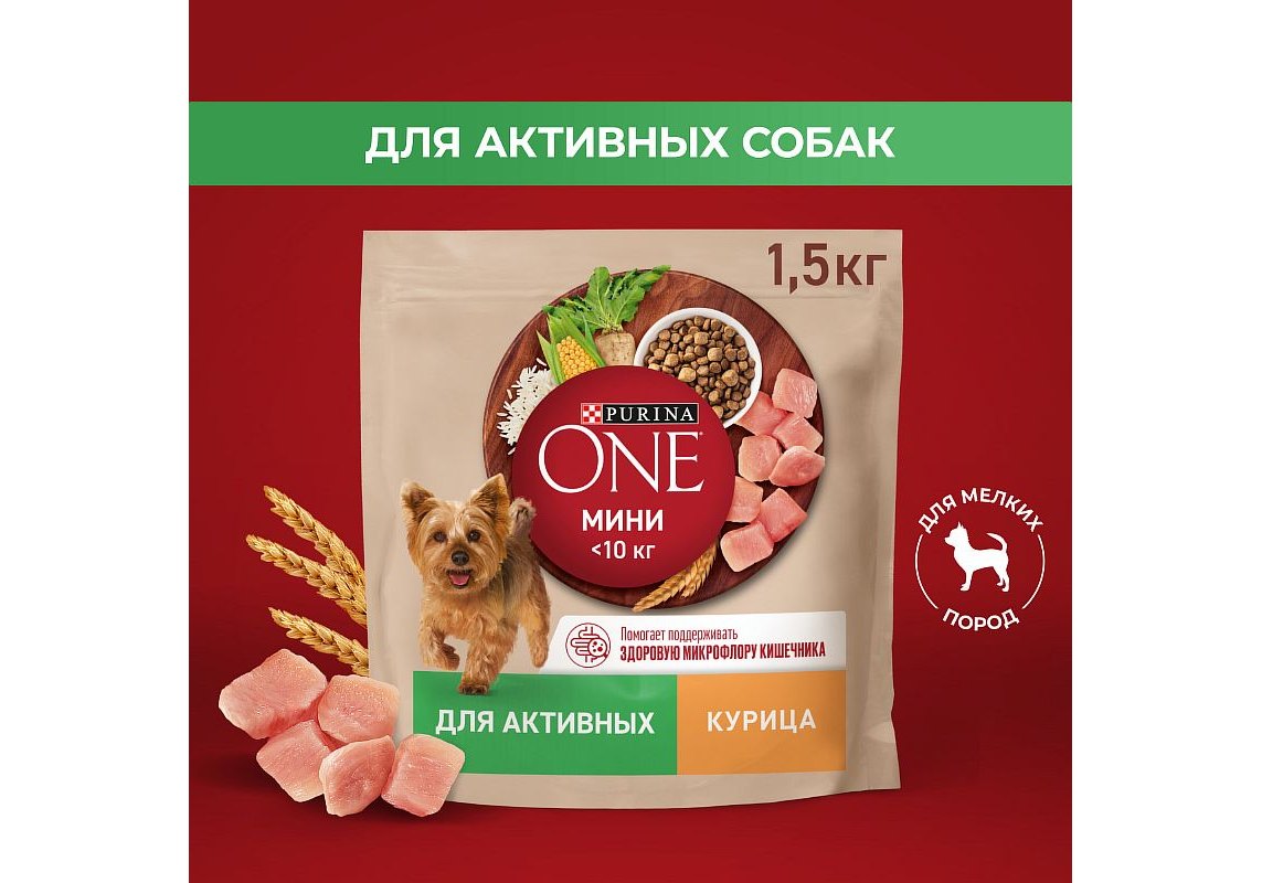 PURINA ONE MINI / Сухой корм Пурина УАН для взрослых собак мелких пород при  активном образе жизни с курицей 1,5 кг купить в Москве по низкой цене 502₽  | интернет-магазин ZooMag.ru