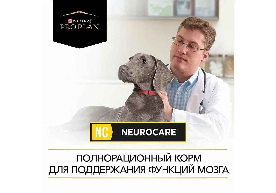 PRO PLAN NC NEUROCARE / Сухой корм ПРО ПЛАН для пожилых собак для  поддержания функции мозга 3 кг купить в Москве по низкой цене 4 860₽ |  интернет-магазин ZooMag.ru