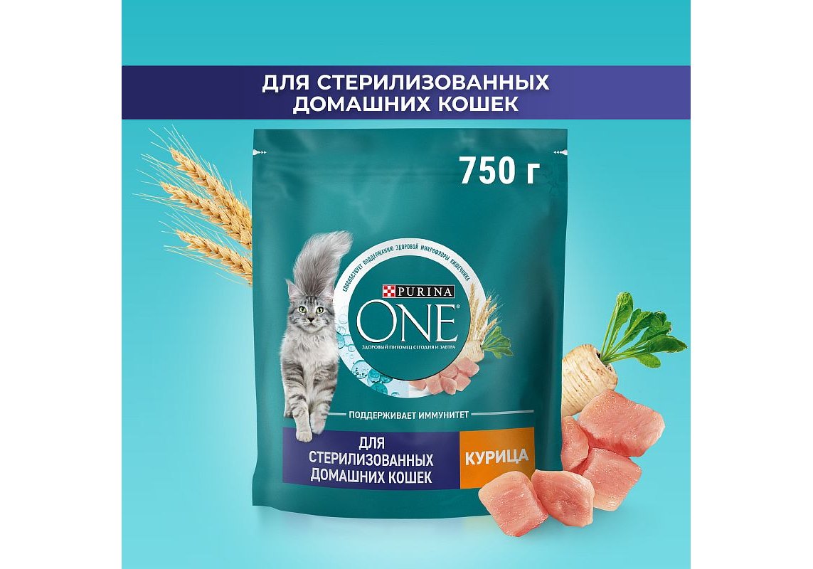 PURINA ONE STERILISED / Сухой корм Пурина УАН для взрослых стерилизованных  кошек с курицей 750 г купить в Москве по низкой цене 470₽ |  интернет-магазин ZooMag.ru