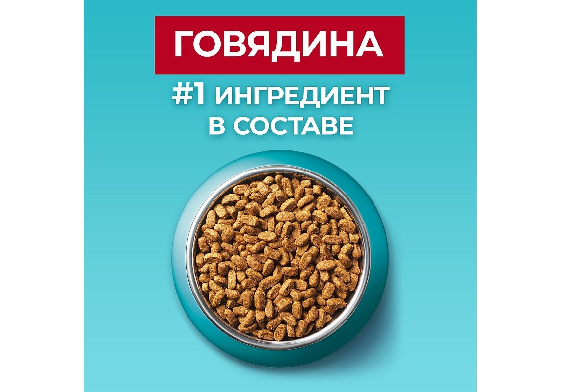 PURINA ONE STERILISED / Сухой корм Пурина УАН для взрослых стерилизованных  кошек с говядиной 3 кг купить в Москве по низкой цене 1 680₽ |  интернет-магазин ZooMag.ru