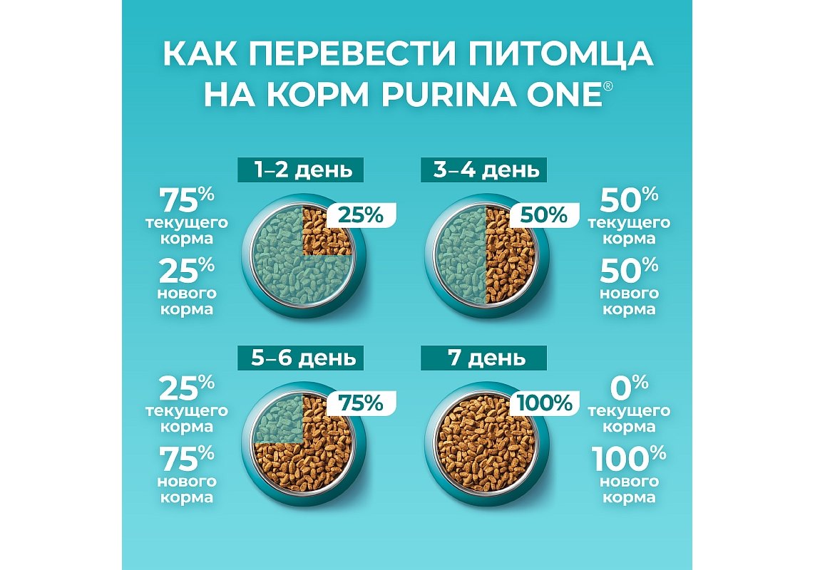 PURINA ONE STERILISED / Сухой корм Пурина УАН для взрослых стерилизованных  кошек с говядиной 3 кг купить в Москве по низкой цене 1 680₽ |  интернет-магазин ZooMag.ru