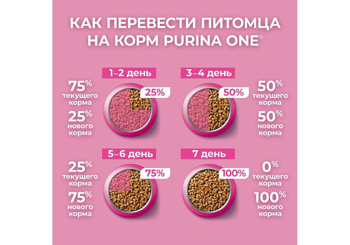 PURINA ONE KITTEN / Сухой корм Пурина УАН для котят с курицей 750 г купить  в Москве по низкой цене 470₽ | интернет-магазин ZooMag.ru