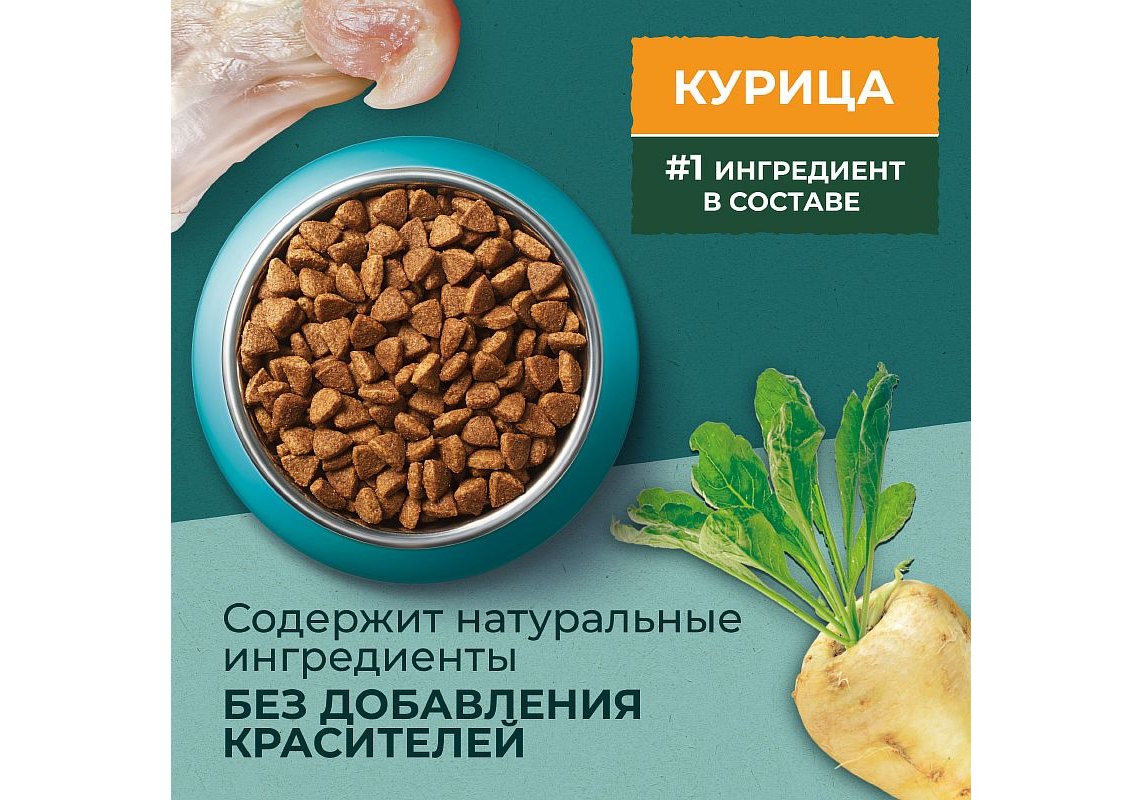 PURINA ONE SUPERFOOD / Сухой корм Пурина УАН для взрослых кошек с курицей  180 г купить в Москве по низкой цене 140₽ | интернет-магазин ZooMag.ru