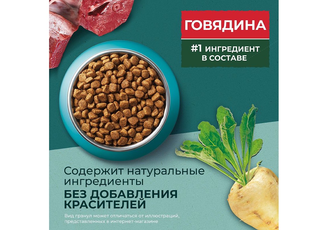 PURINA ONE SUPERFOOD / Сухой корм Пурина УАН для взрослых стерилизованных  кошек с говядиной 680 г купить в Москве по низкой цене 470₽ |  интернет-магазин ZooMag.ru