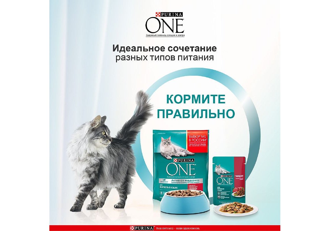 PURINA ONE ADULT / Влажный корм Паучи Пурина УАН для взрослых кошек с  говядиной (цена за упаковку) 75г х 26шт купить в Москве по низкой цене 833₽  | интернет-магазин ZooMag.ru