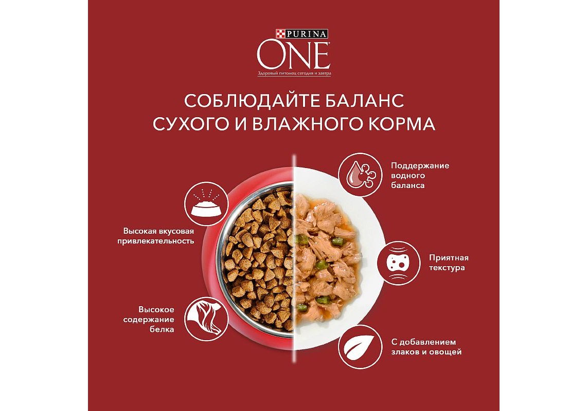 PURINA ONE ADULT / Влажный корм Паучи Пурина УАН для взрослых собак мелких  пород с курицей (цена за упаковку) 85г х 26шт купить в Москве по низкой  цене 940₽ | интернет-магазин ZooMag.ru