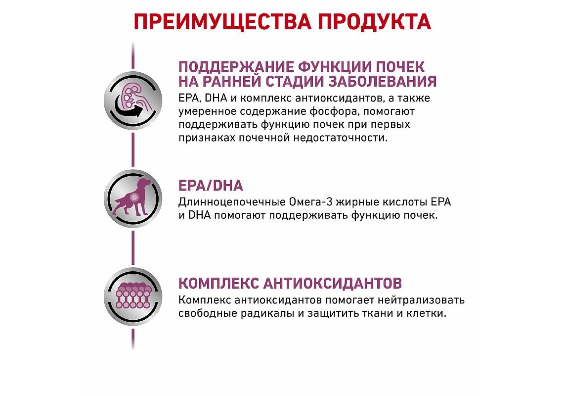 Royal Canin Early Renal / Ветеринарный сухой корм Роял Канин Ерли Ренал для  собак Поддержание функции почек (хроническая почечная недостаточность на  ранних стадиях) 2 кг купить в Москве по низкой цене 2