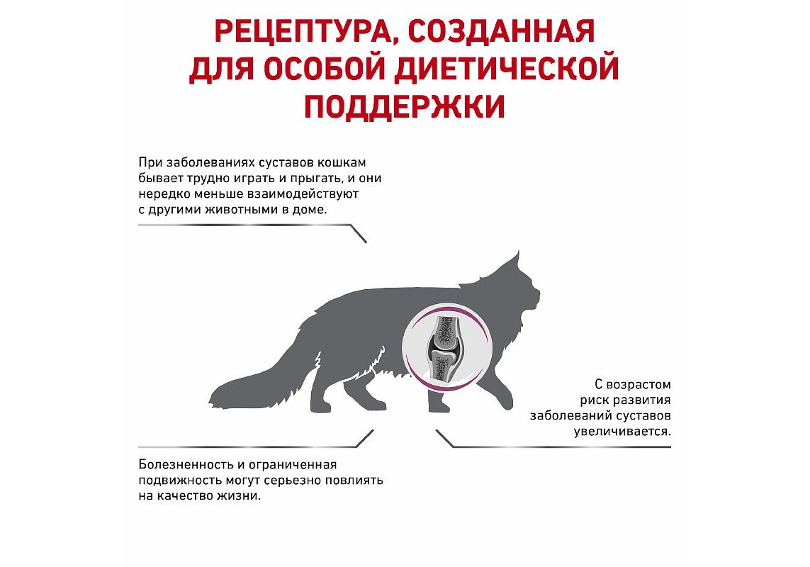 Royal Canin Royal Canin Mobility MC28 / Ветеринарный сухой корм Роял Канин  Мобилити для кошек Заболевание опорно-двигательного аппарата (помощь  суставам) 400 г купить в Москве по низкой цене 607₽ | интернет-магазин  ZooMag.ru