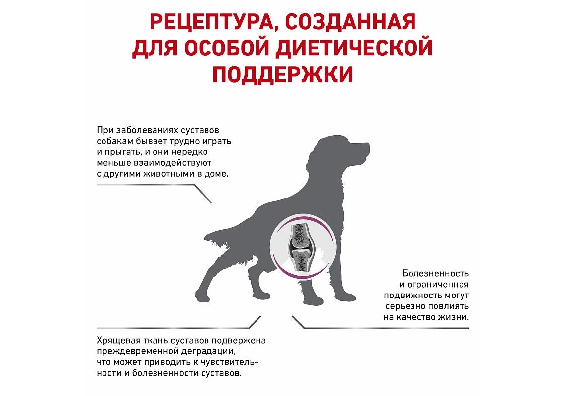 Royal Canin Mobility MC 25 C2P+ / Ветеринарный сухой корм Роял Канин  Мобилити для собак Заболевание опорно-двигательного аппарата (помощь  суставам) 12 кг купить в Москве по низкой цене 10 475₽ | интернет-магазин  ZooMag.ru