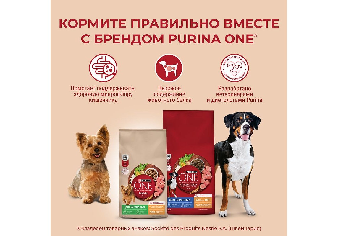 PURINA ONE ADULT / Сухой корм Пурина УАН для взрослых собак средних и  крупных пород с курицей 10 кг купить в Москве по низкой цене 3 760₽ |  интернет-магазин ZooMag.ru