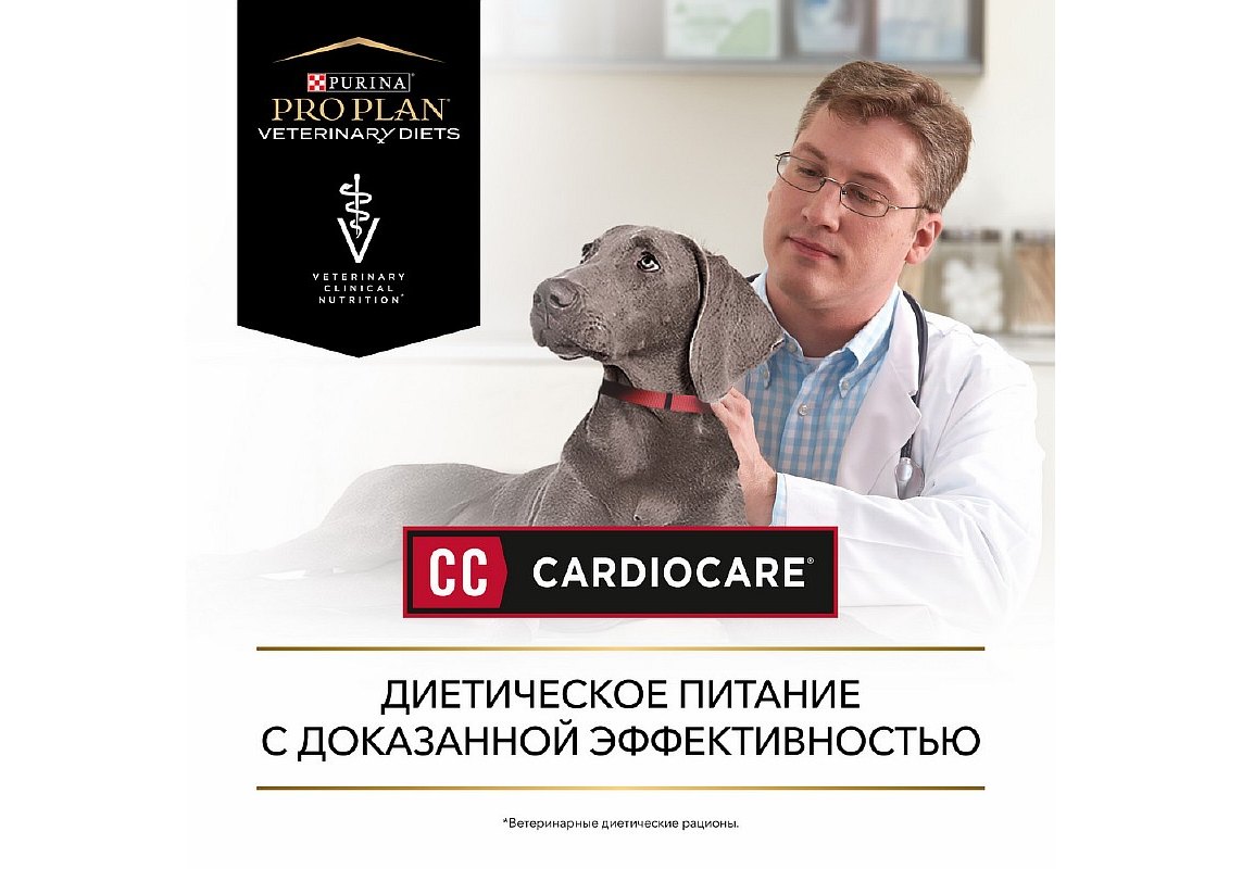 PRO PLAN VETERINARY DIETS CC CARDIOСARE / Сухой корм ПРО ПЛАН Ветеринарная  диета для взрослых собак для поддержания сердечной функции 3 кг купить в  Москве по низкой цене 4 860₽ | интернет-магазин ZooMag.ru