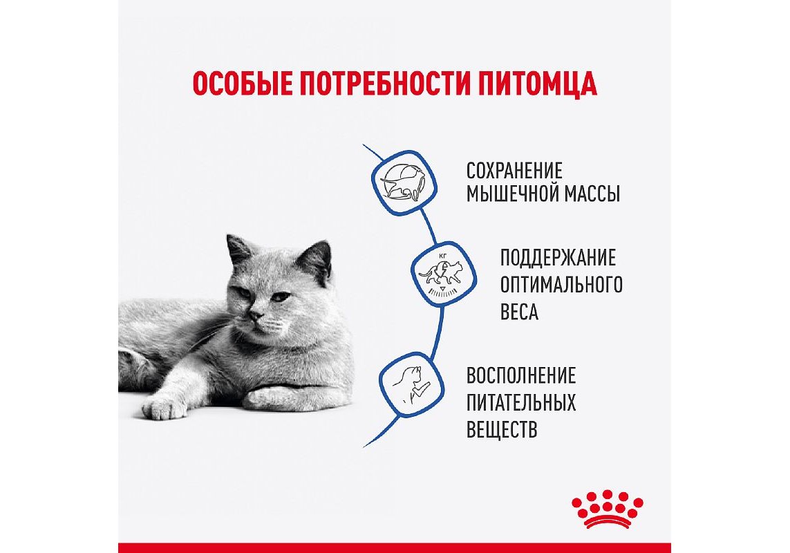 Royal Canin Light Weight Care Gravy / Влажный корм (Консервы-Паучи) Роял  Канин Лайт Вейт Кэа для кошек Профилактика лишнего веса в Соусе (цена за  упаковку) 85г х 28шт купить в Москве по