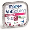 Monge VetSolution Recovery / Ветеринарная диета Монж Рекавери для кошек при Восстановлении питания в период выздоровления (цена за упаковку)