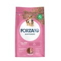 Forza10 Maintenance All Size Adult / Сухой корм Форза для собак всех пород со Свининой