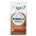 Forza10 Gactroenteric sacco da Scn / Сухой Ветеринарный корм Форза для собак с трудностями Пищеварения